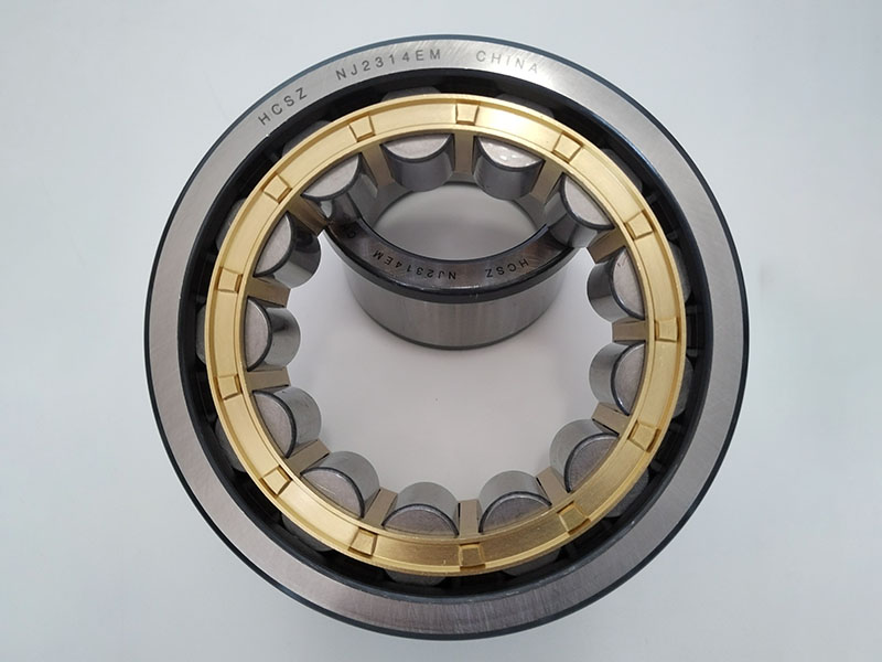 1688 Cylindrical Roller Bearing N Nn Nu Nj Nup NF Ncf Nncl Nncf 01
